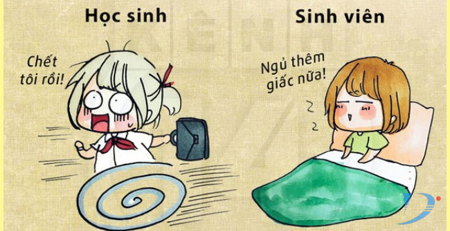 điểm khác nhau giữa học sinh cấp 3 và sinh viên đại học